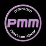 PMM Team Injector